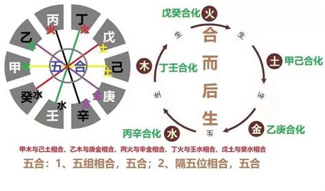 戊癸合老少配|天干五合的讲解